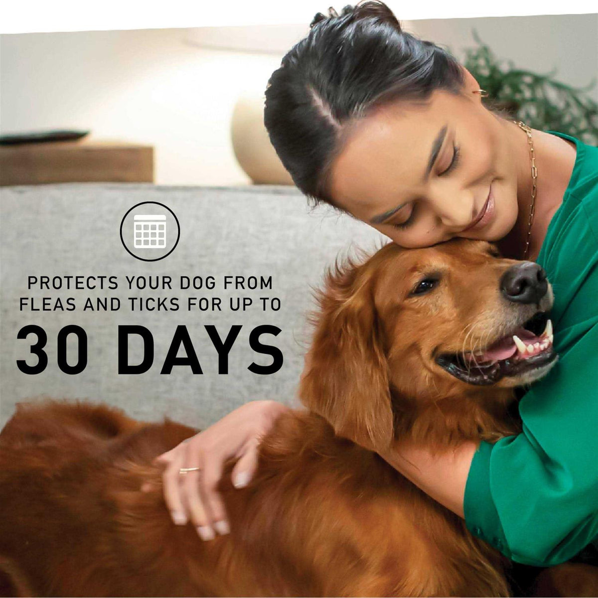 Flea & Tick Topical Treatment for Large Dogs G651297