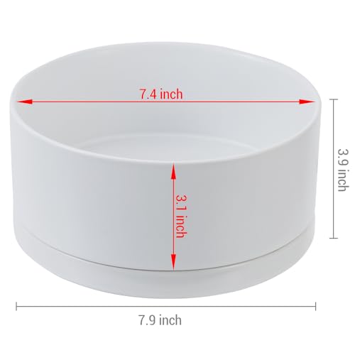 White Ceramic 7 Inch Plant Pot with Drainage Hole and Removable Tray S279058