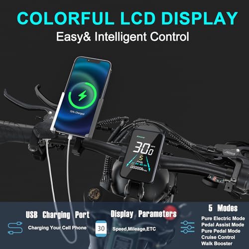 26''x4.0 Inch Fat Tire Electric Bike with 48V 30Ah Battery M710