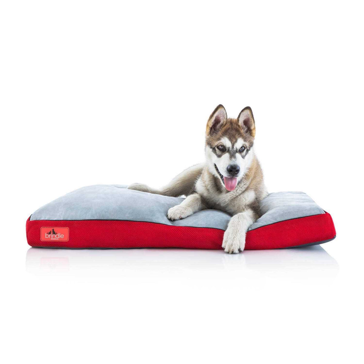 Soft Memory Foam Dog Bed with Removable Washable Cover W817172