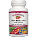 100 mg 60 Capsules E9041