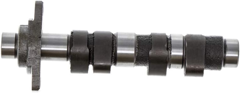 Cylinder Camshaft Piston Gasket Top End Kit For Honda TRX400 F787