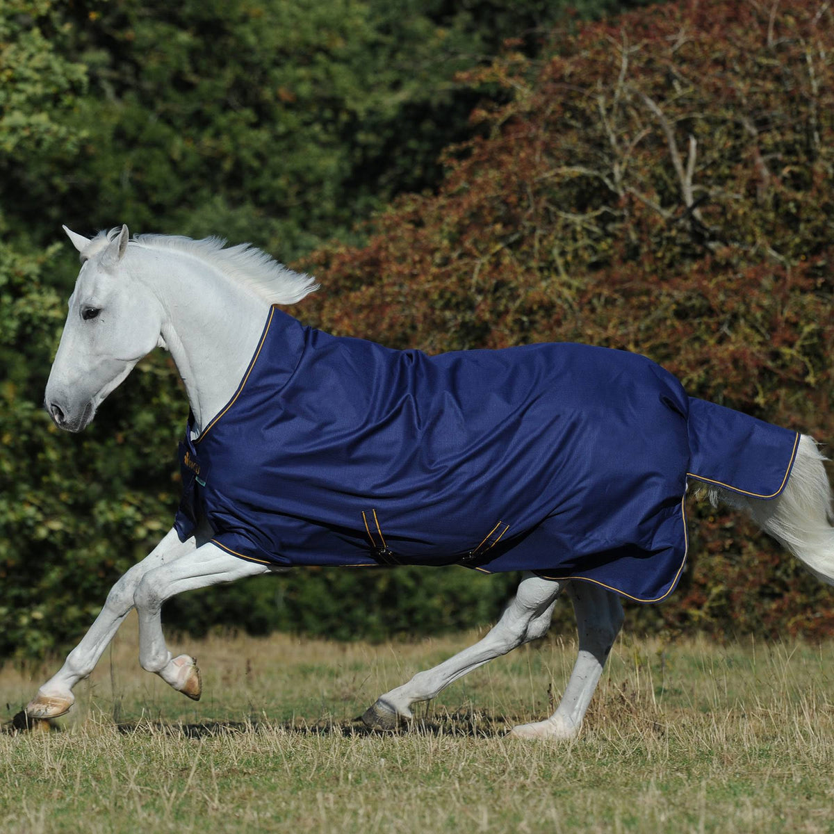 Navy / Gold Light High Neck Turnout F8883
