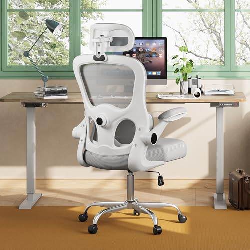 Black Mesh Ergonomic Office Chair N585