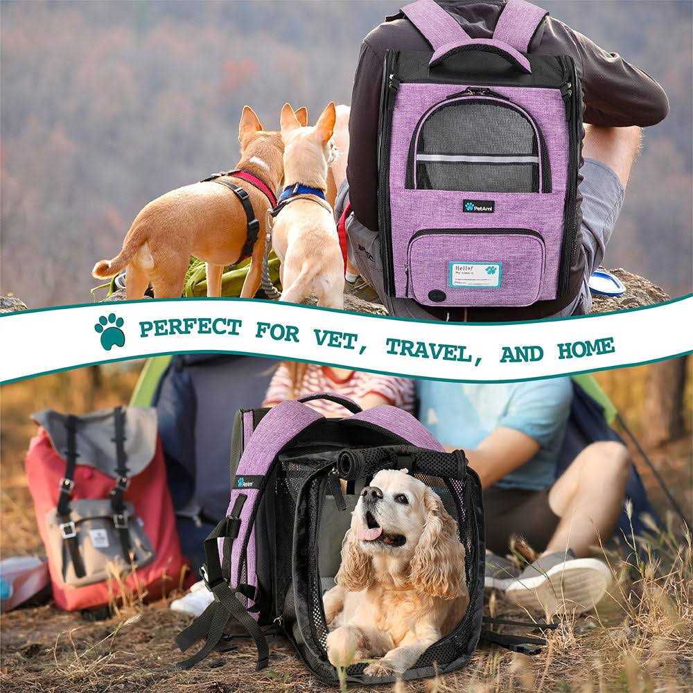 Expandable Pet Carrier Backpack V7104