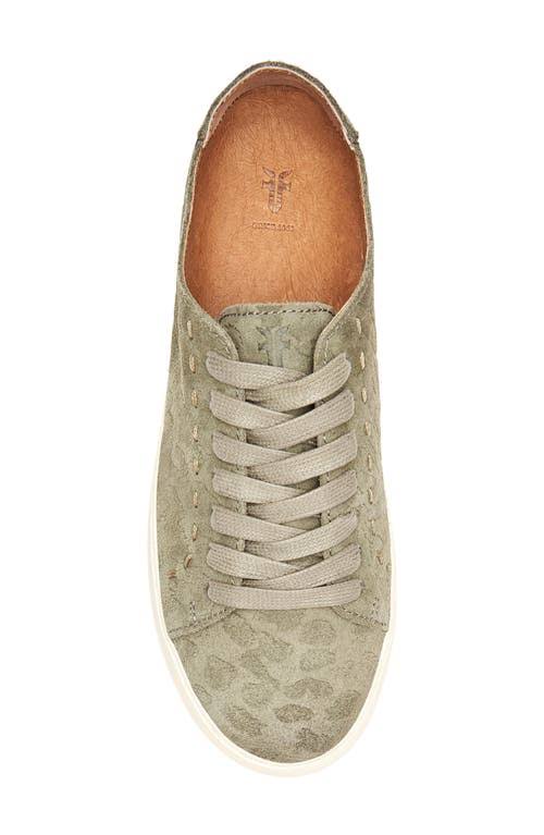 Olive Low Lace Boots H406