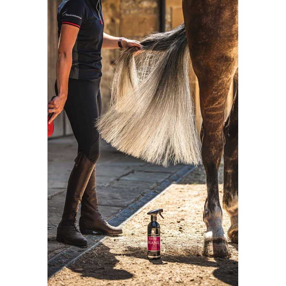Mane & Tail Conditioner I132
