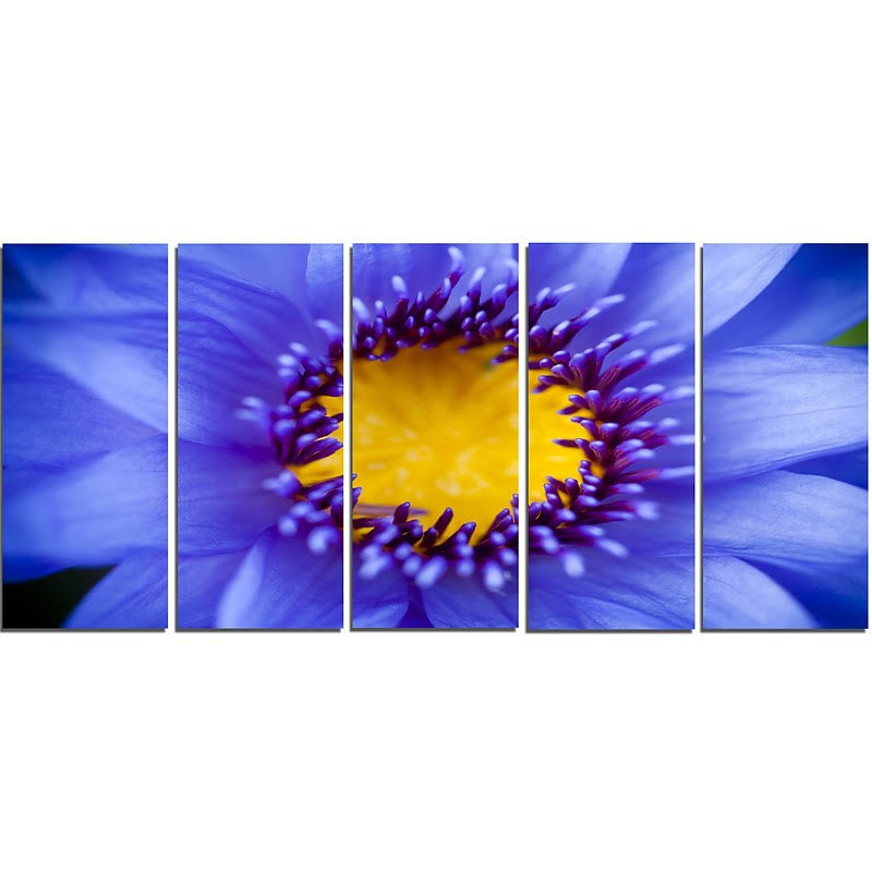 5 Piece Graphic Art on Wrapped Canvas Set S164