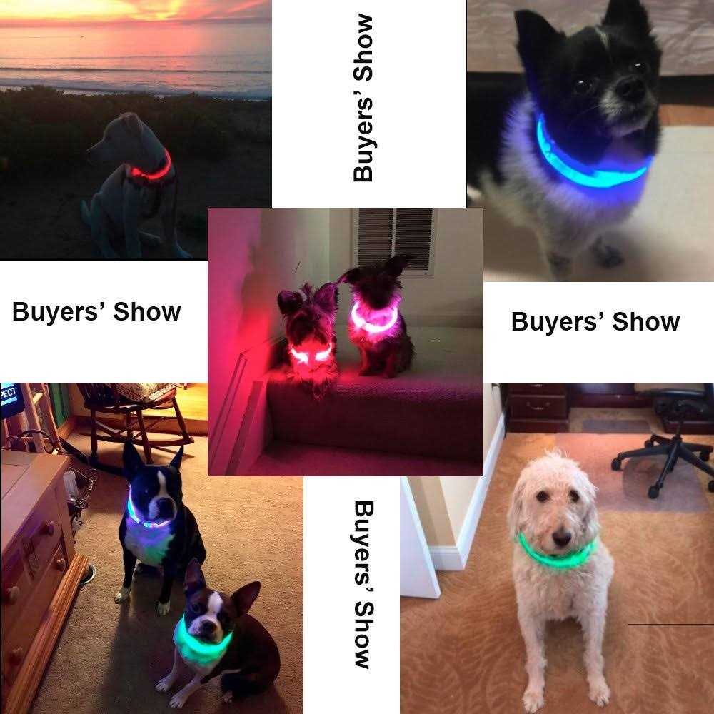 Light Rechargeable LED Dog Collar H39075