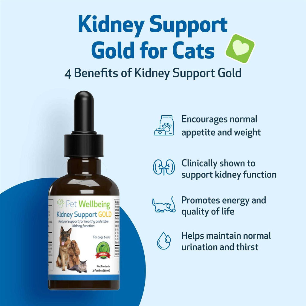 Kidney Support Gold for Dogs S22025