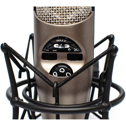 Variable-Pattern Condenser Mic with Shockmount + Pop Filter + XLR Cable N316