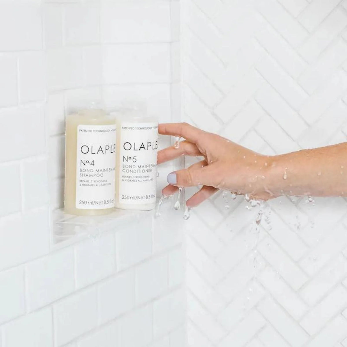 Shampoo and Conditioner Set 8.5 oz Each K561598